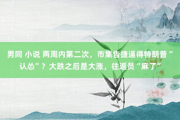男同 小说 两周内第二次，市集告捷逼得特朗普“认怂”？大跌之后是大涨，往返员“麻了”