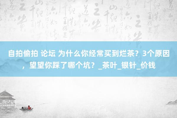 自拍偷拍 论坛 为什么你经常买到烂茶？3个原因，望望你踩了哪个坑？_茶叶_银针_价钱