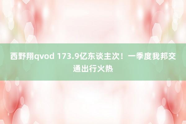 西野翔qvod 173.9亿东谈主次！一季度我邦交通出行火热