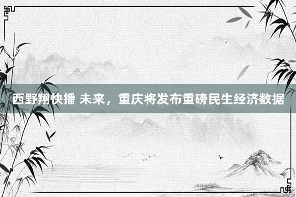 西野翔快播 未来，重庆将发布重磅民生经济数据
