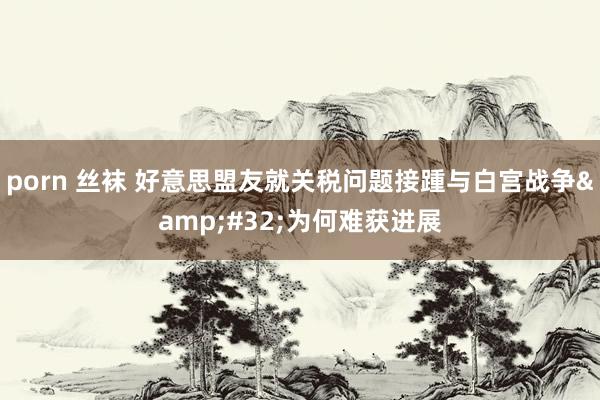 porn 丝袜 好意思盟友就关税问题接踵与白宫战争&#32;为何难获进展