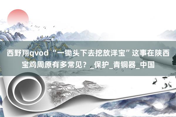 西野翔qvod “一锄头下去挖放洋宝”这事在陕西宝鸡周原有多常见？_保护_青铜器_中国