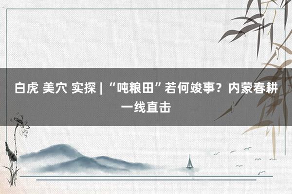 白虎 美穴 实探 | “吨粮田”若何竣事？内蒙春耕一线直击