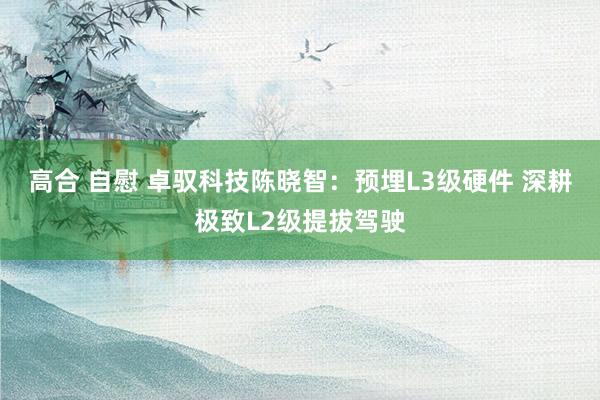 高合 自慰 卓驭科技陈晓智：预埋L3级硬件 深耕极致L2级提拔驾驶