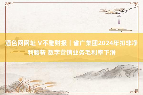 酒色网网址 V不雅财报｜省广集团2024年扣非净利腰斩 数字营销业务毛利率下滑