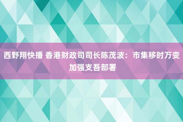西野翔快播 香港财政司司长陈茂波：市集移时万变 加强支吾部署