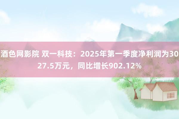 酒色网影院 双一科技：2025年第一季度净利润为3027.5万元，同比增长902.12%