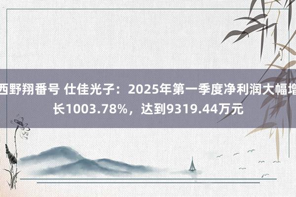 西野翔番号 仕佳光子：2025年第一季度净利润大幅增长1003.78%，达到9319.44万元
